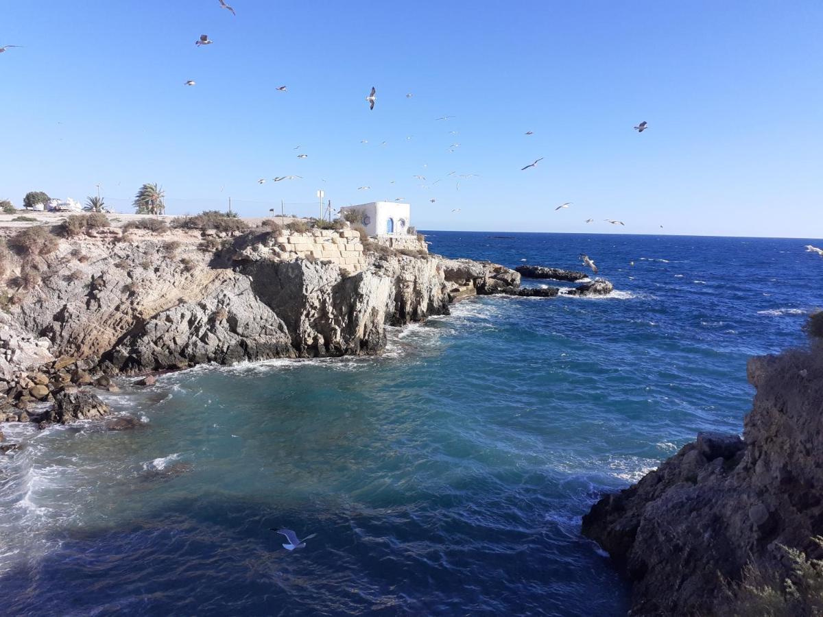 Apartamento Santa Pola, En Playa Del Tamarit Con Piscina. Bagian luar foto