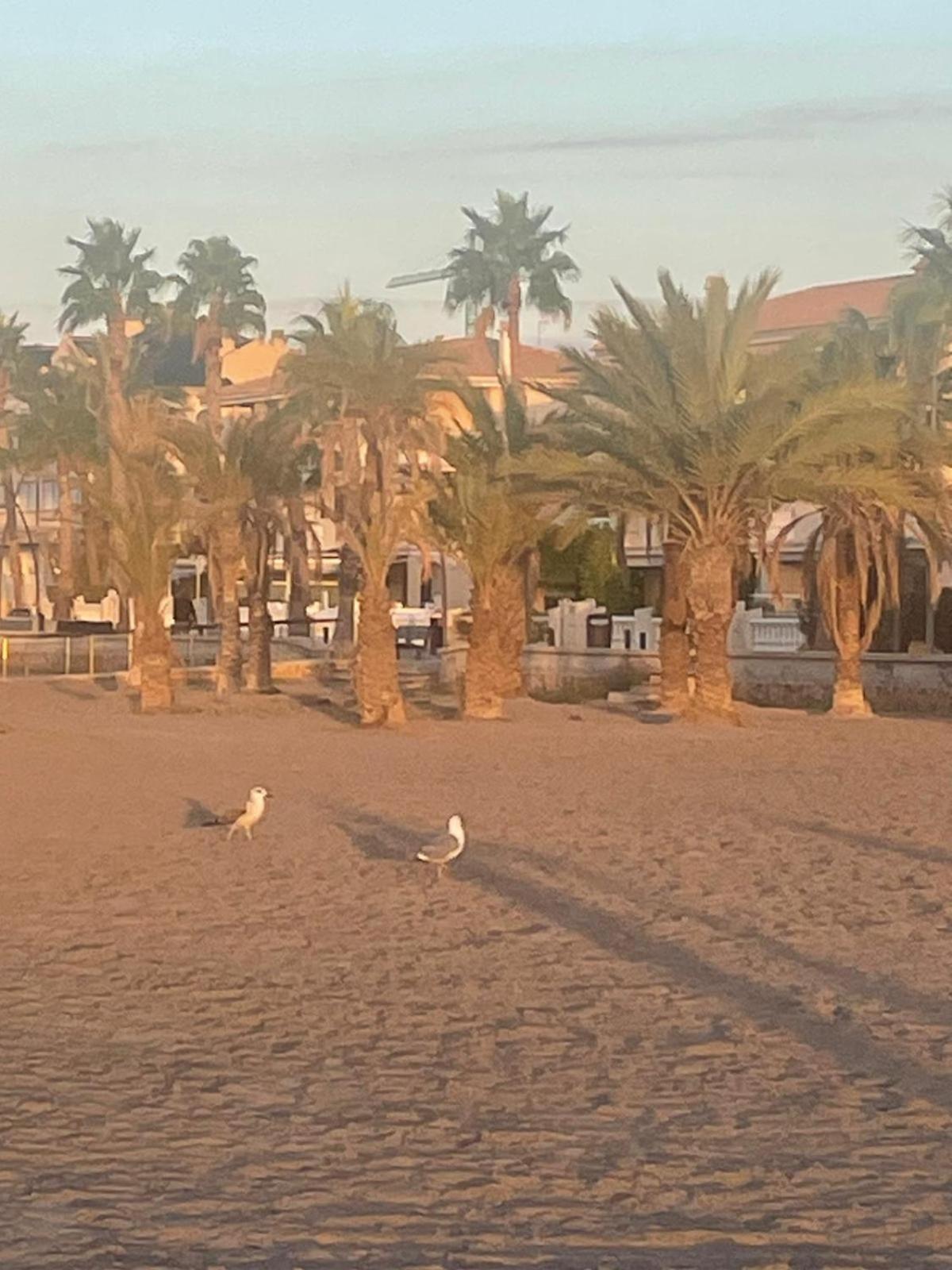 Apartamento Santa Pola, En Playa Del Tamarit Con Piscina. Bagian luar foto